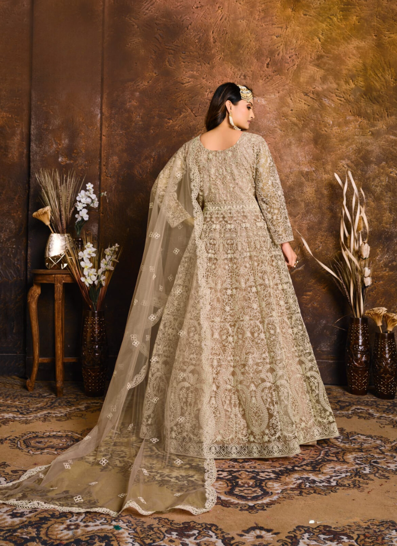 Embroidered Net Gown In Tan