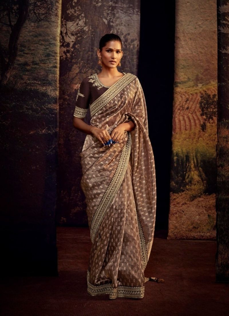 Embroidered Patry Wear Saree in Brown